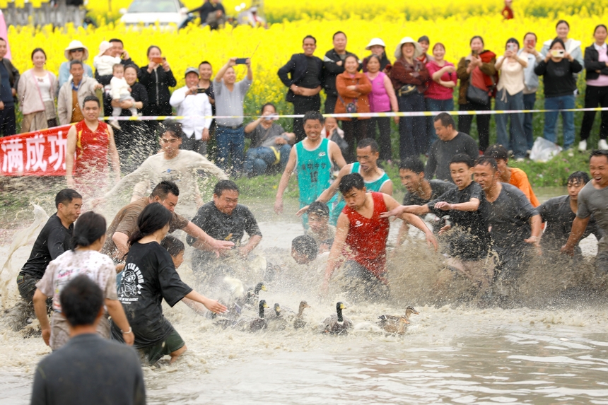趣味捉魚、抓鴨比賽活動現場。楊家孟攝