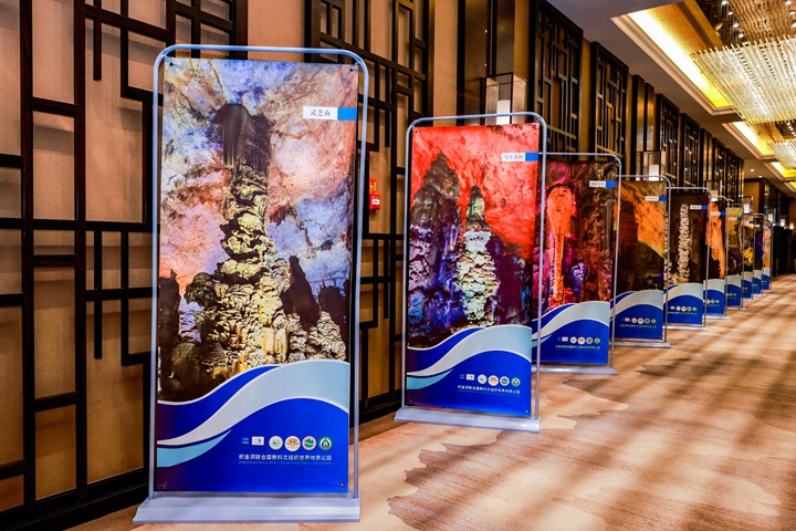 貴州織金洞銀雨樹獲15億元創新保險護航。