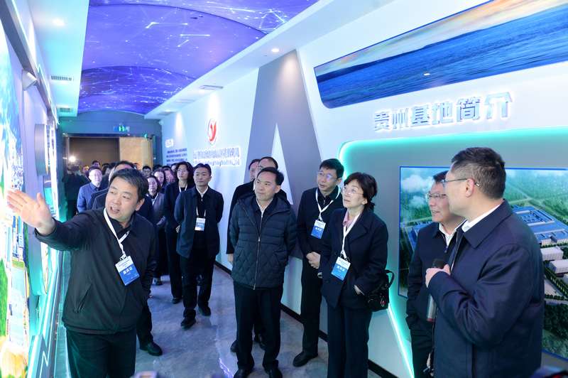 參會嘉賓到貴州裕能、福泉盛屯企業實地考察。向憶峰攝