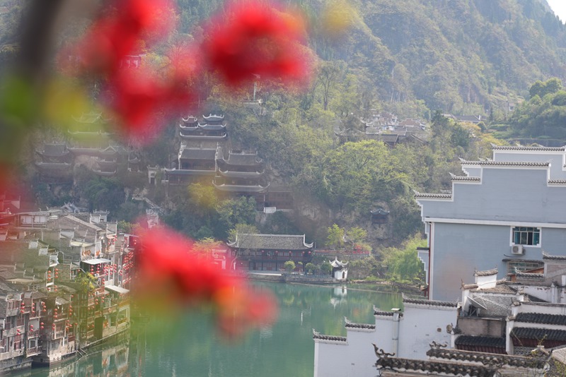 鎮遠民宿風景。