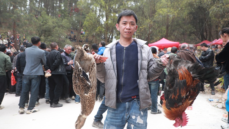 趣味活動，游客抓獲雞鴨。
