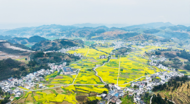 桐梓要辦一件大事