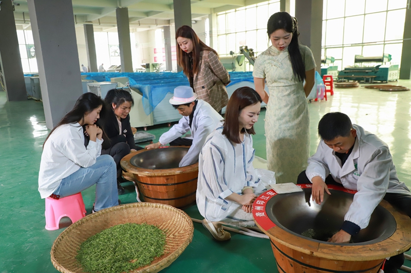 游客正在體驗炒茶。