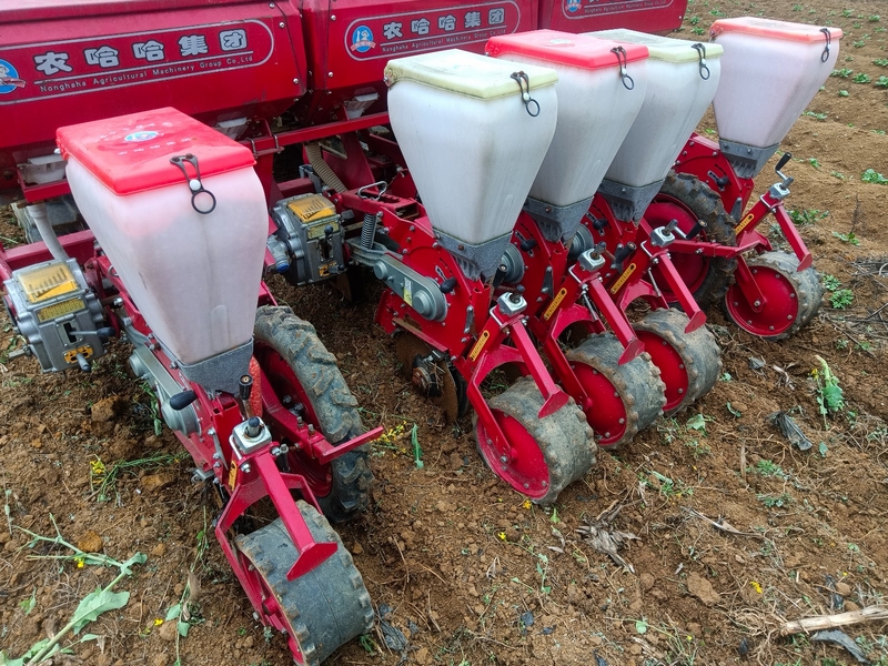 修文縣2025年推廣玉米大豆帶狀復合種植10000畝。