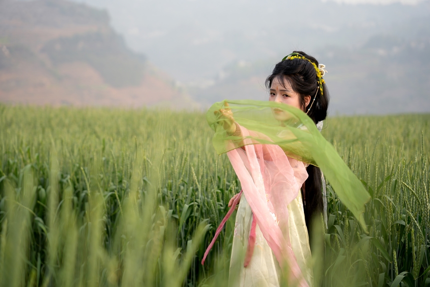 納雍縣百興鎮風吹麥浪。