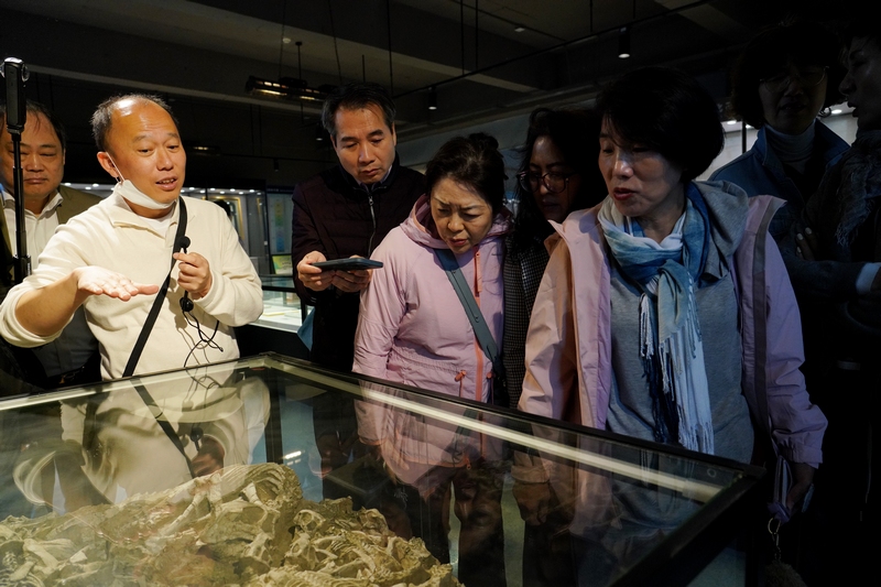 韓國客人在恐龍小鎮參觀。