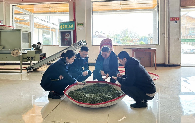 國家稅務總局鳳岡縣稅務局聚焦茶企發展需求，精準服務茶企。