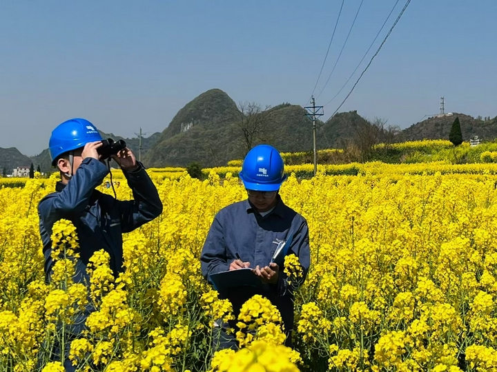 電力設備巡維。