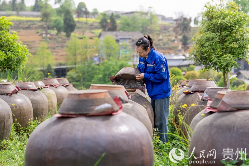 工作人員正在檢查醋胚的成色及發酵情況。人民網記者 涂敏攝