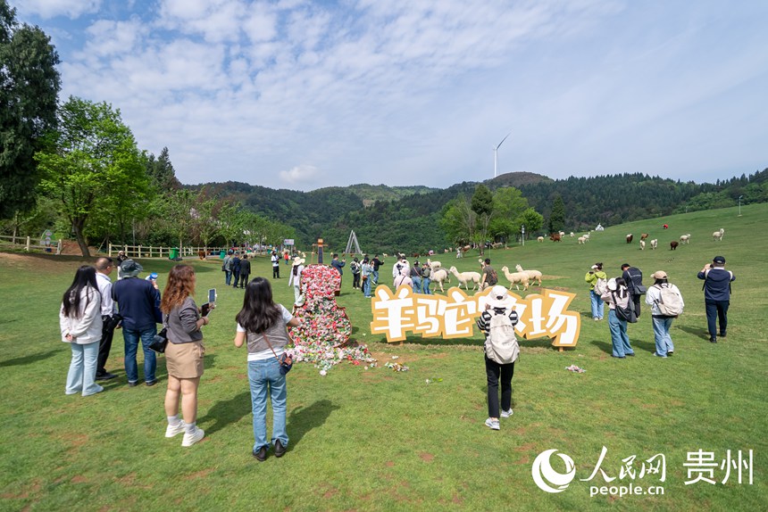 游客在景區內游覽。人民網記者 涂敏攝