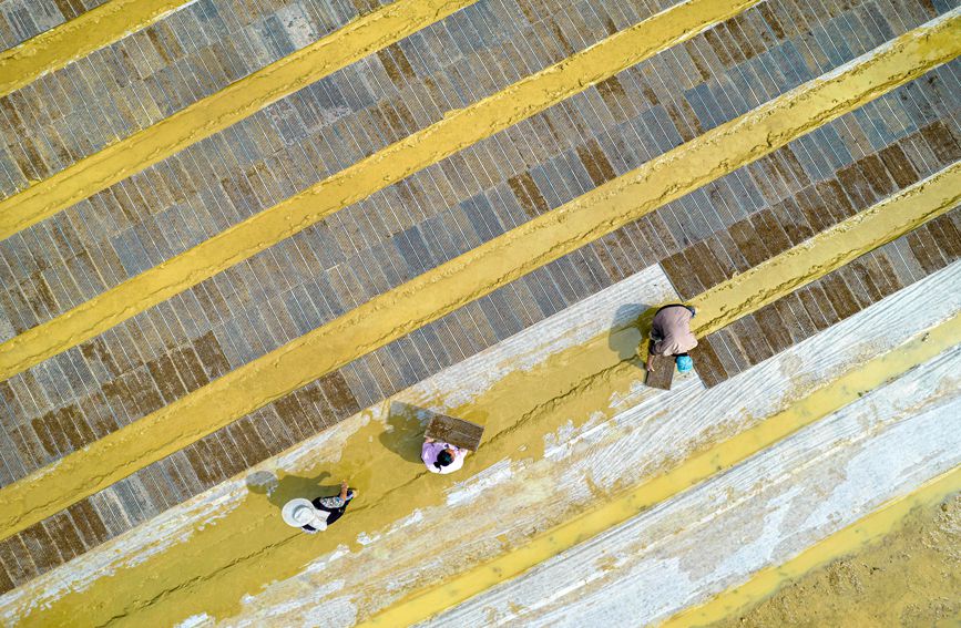 村民在貴州省黔西市杜鵑街道大興社區水稻育秧點放置育秧托盤。