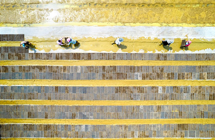 村民在貴州省黔西市杜鵑街道大興社區水稻育秧點放置育秧托盤。