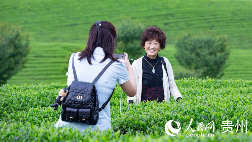 游客在茶園拍照打卡。人民網 黃小桃攝