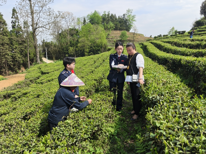 六枝稅務局“稅宣服務隊”隊員向茶企人員講解政策。張欽愿攝