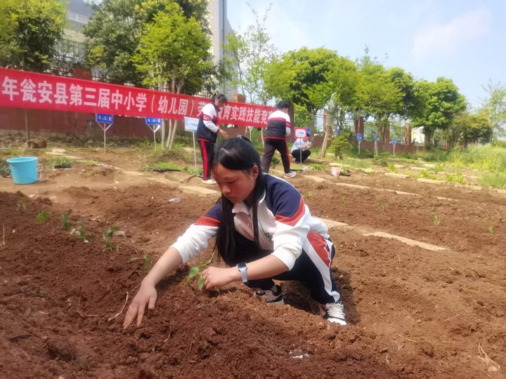 5 正是種植好時節。.jpeg