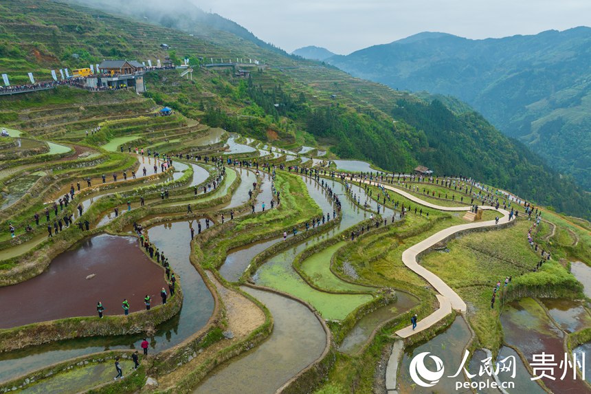 航拍貴州省從江縣加榜梯田。人民網 陽茜攝