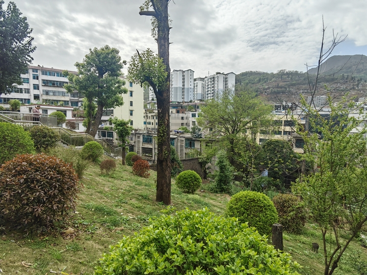 赫章口袋公園一角。