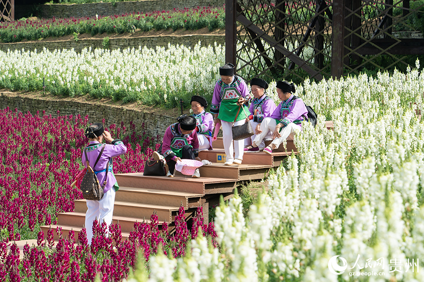 游客在花海中拍攝打卡。人民網 陽茜攝