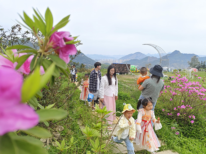 1、杉坪景區花開吸引眾多游客來打卡。