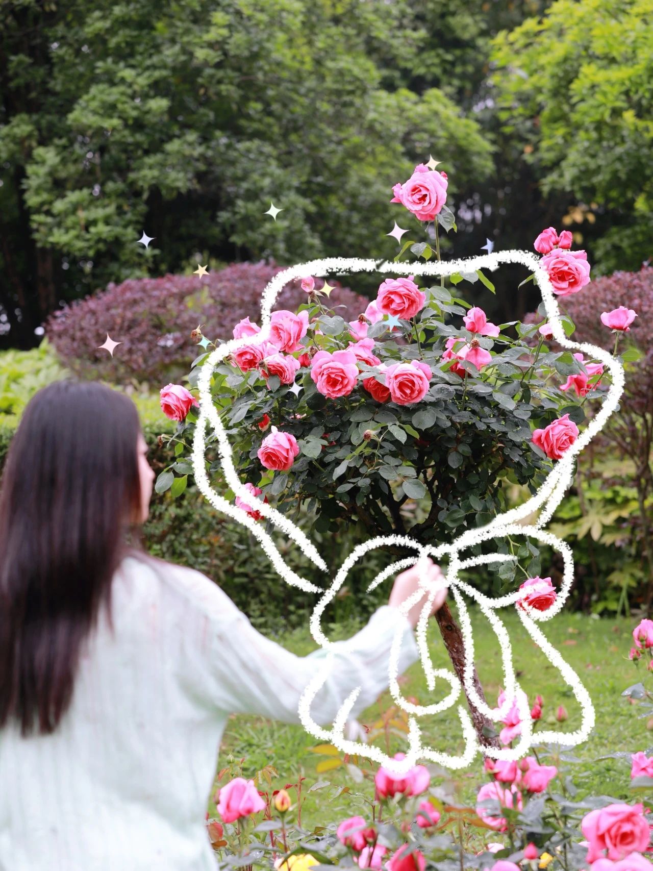 3月季花爭奇斗艷。