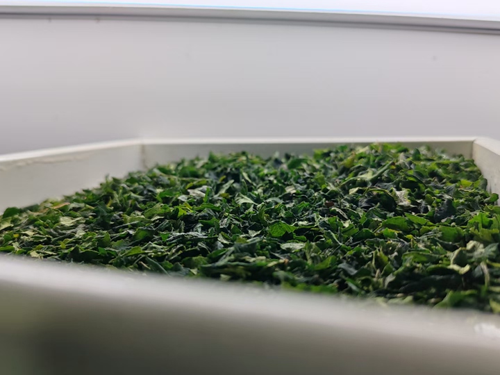 碾茶創新中心的碾茶。