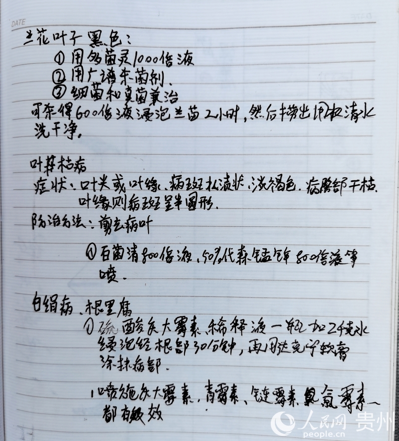 楊華飛的筆記本上，詳細記錄著蘭花常見的病蟲害和治療方法。人民網記者 王秀芳攝.jpg