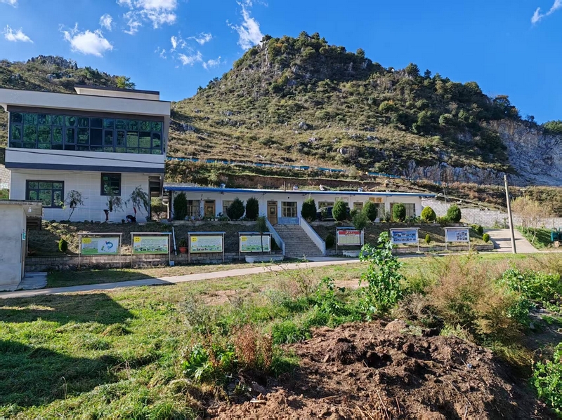 管彥坤的黑山羊養殖合作社。