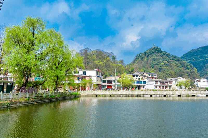 羊場村。蔣世良攝