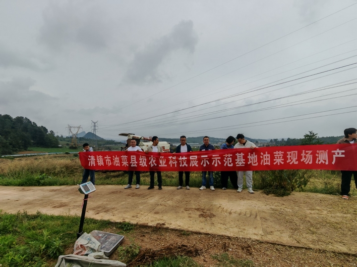 清鎮市縣級農業科技示范展示基地油菜現場測產.jpg