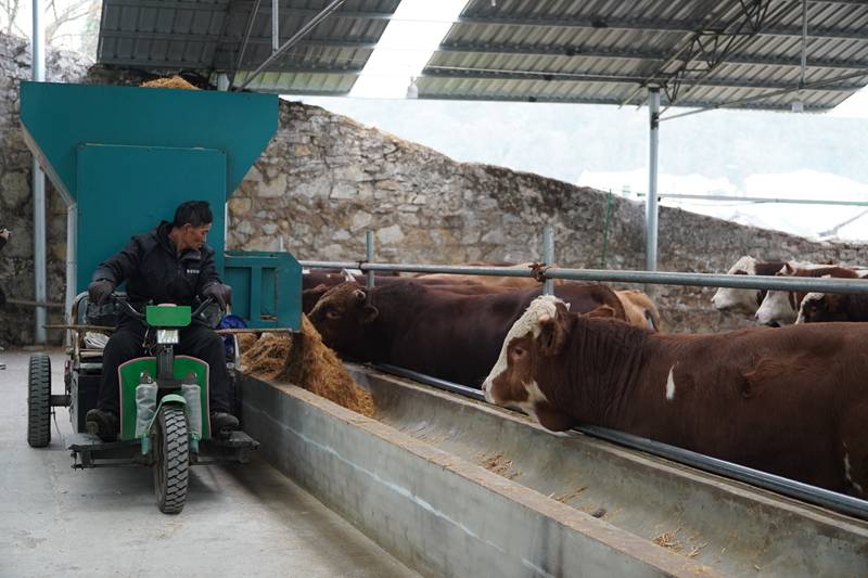 飼養員投料中。