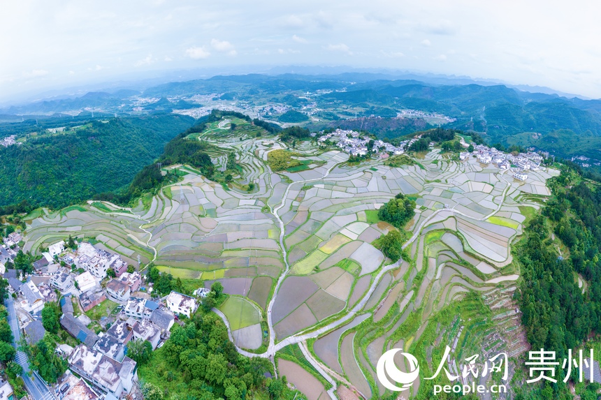航拍貴陽市花溪區高坡苗族鄉梯田。人民網記者 涂敏攝