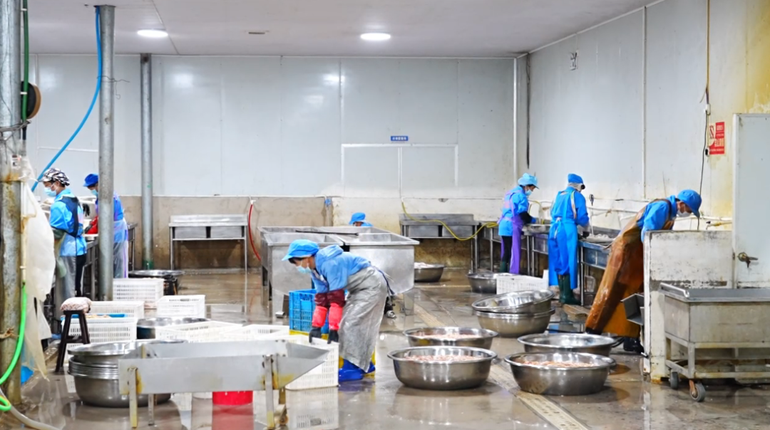 工廠內一派忙碌景象。