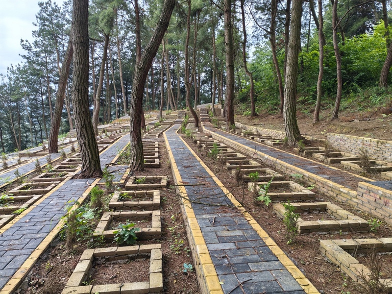 修文縣幸福村：擦亮“幸福旅居”名片 鄉村振興蹄疾步穩。