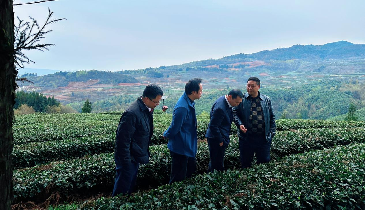 圖為工行六盤水分行以“多彩農鏈通”金融服務為抓手，助力涼都特色農業產業。