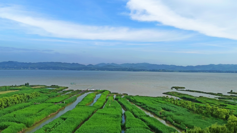 金融助力高原優質農產品走出大山。