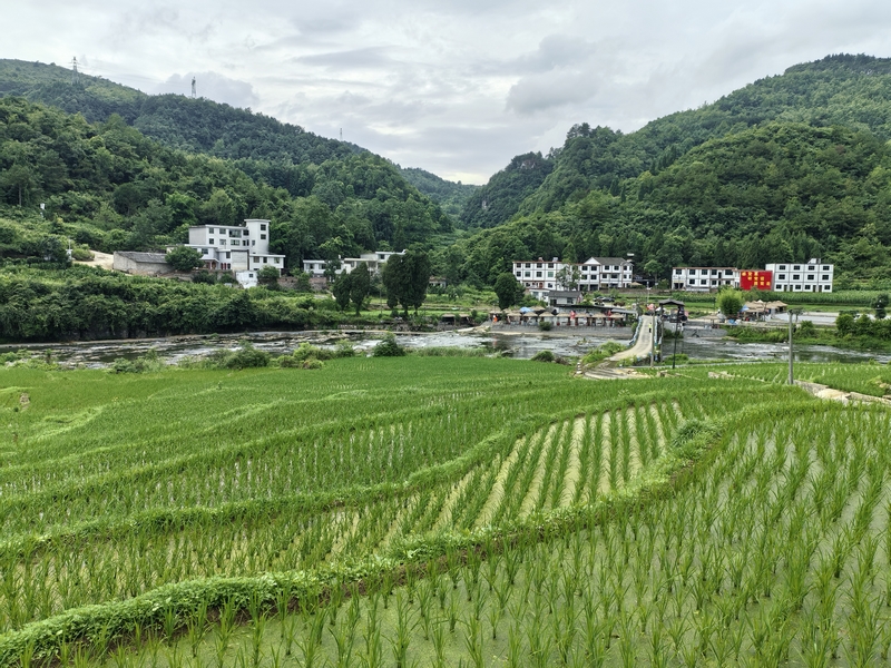 修文縣龍場街道沙溪村一角。