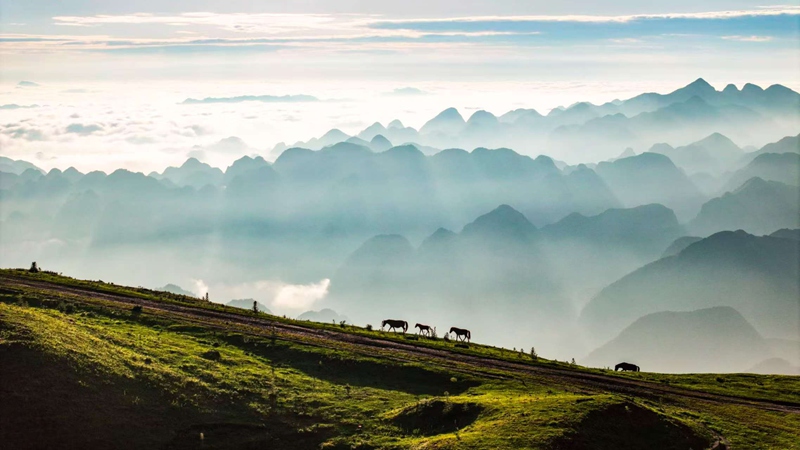阿西里西大草原云海日出景觀。