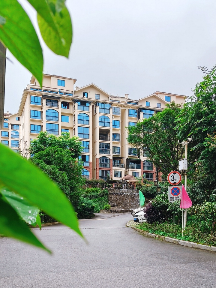 天泉。稅會靜 攝.jpg