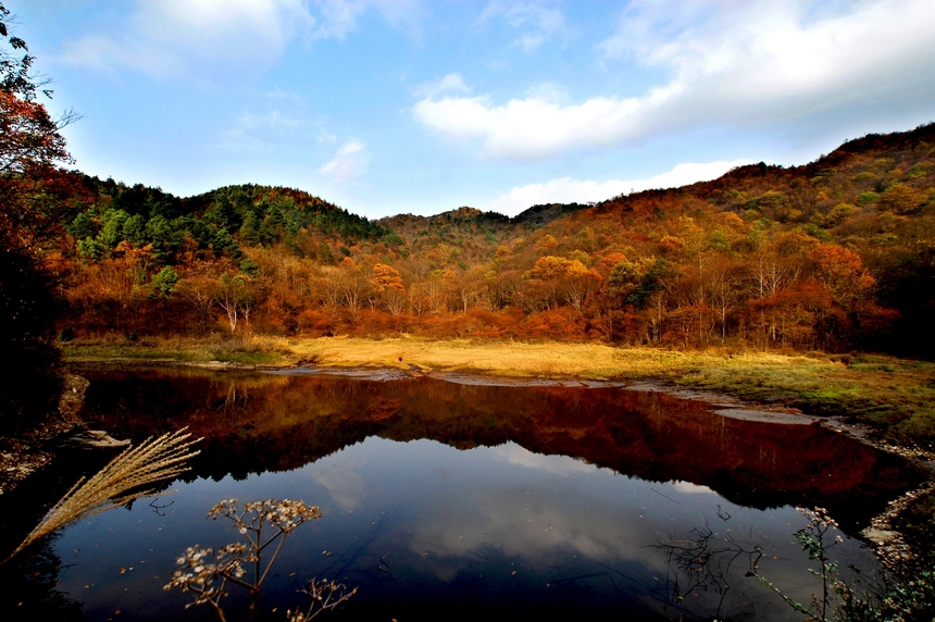 秋韻。貴州省林業局供圖