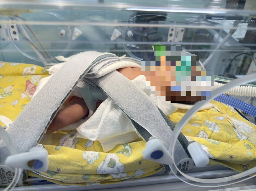 躺在保溫箱里的小安。