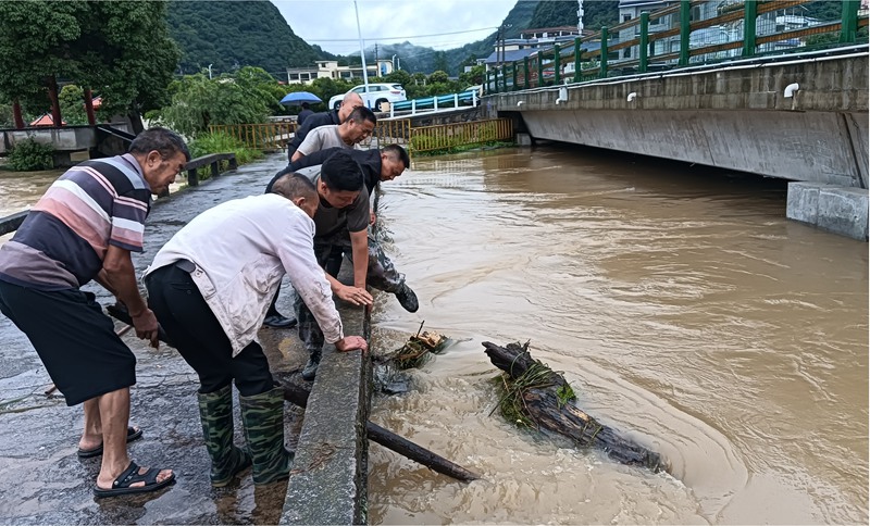 清理河道斷枝。