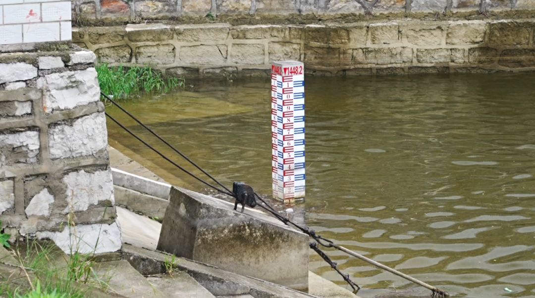 貴州西秀構建安全“四防線” 筑牢防汛安全網。