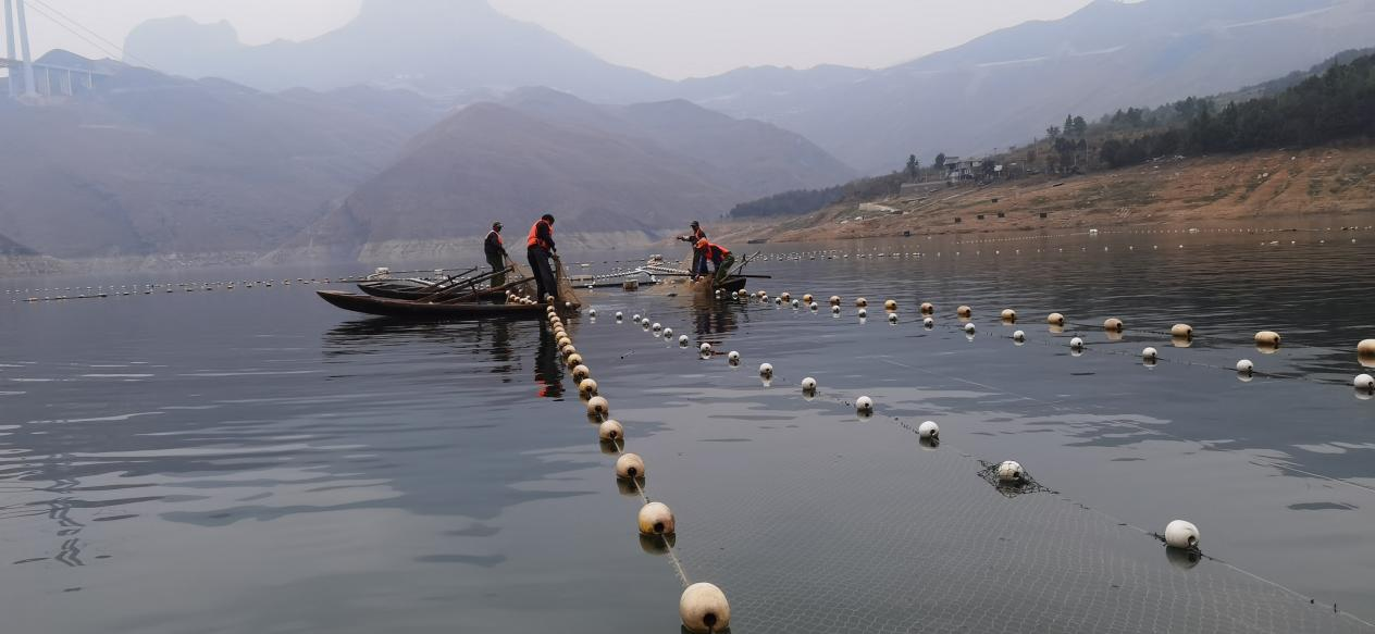 光照湖生態漁場。馬偉攝