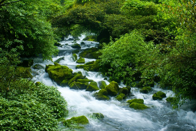 茂蘭自然保護區——青龍澗。柏祥意攝