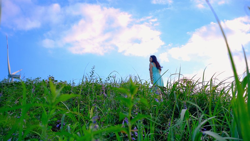 游客徜徉在紫色的玉簪花海中。羅杰攝