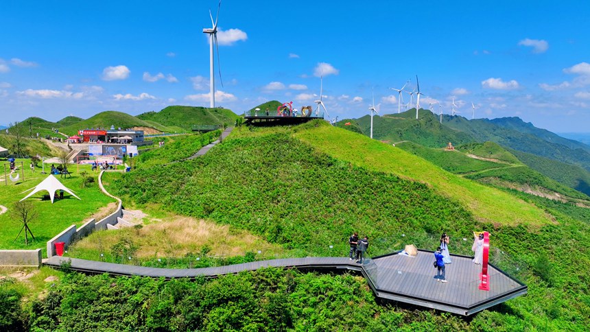 玉簪花云海景區一隅。李杰攝