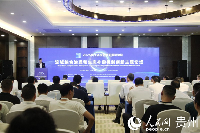 論壇現場。人民網 龍章榆攝