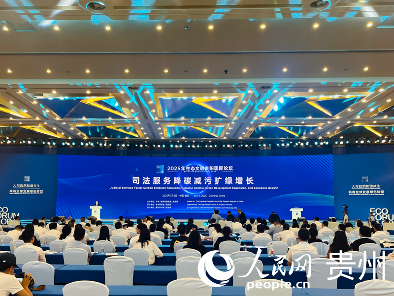 論壇現場。人民網 李麗萍攝