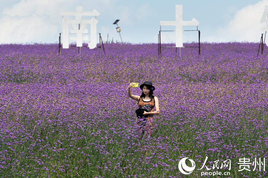 游人站在花田步道內拍照打卡。人民網 陽茜攝