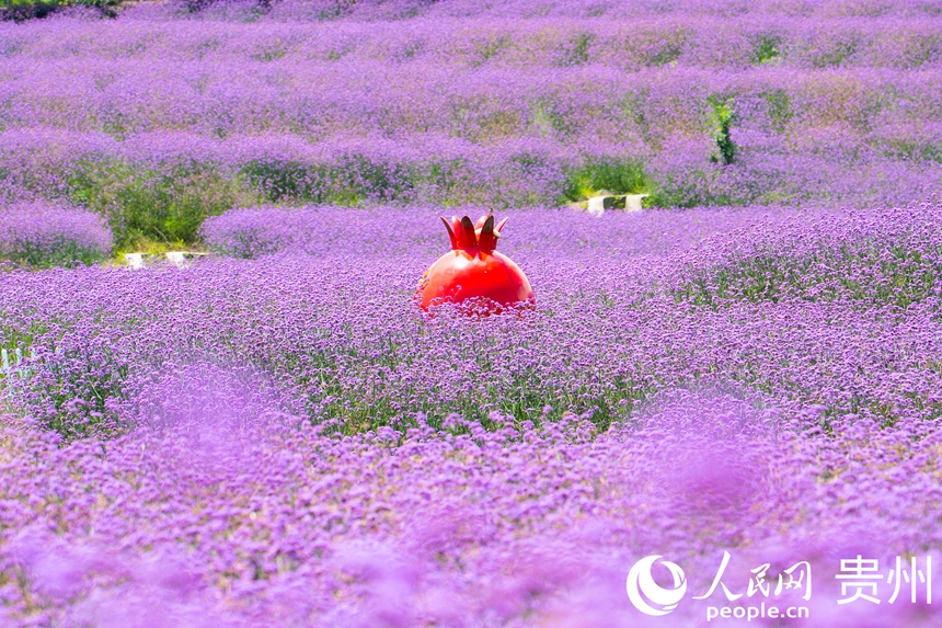 花海中擺放了打卡設施方便游人拍照。人民網 陽茜攝